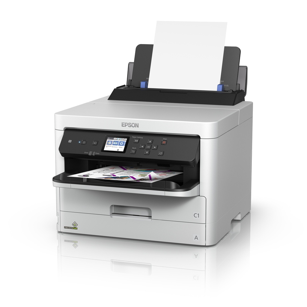 epson-c13t01c300-2.jpg