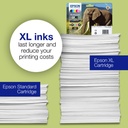 epson-c13t24214012-4.jpg