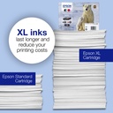 epson-c13t26134012-6.jpg