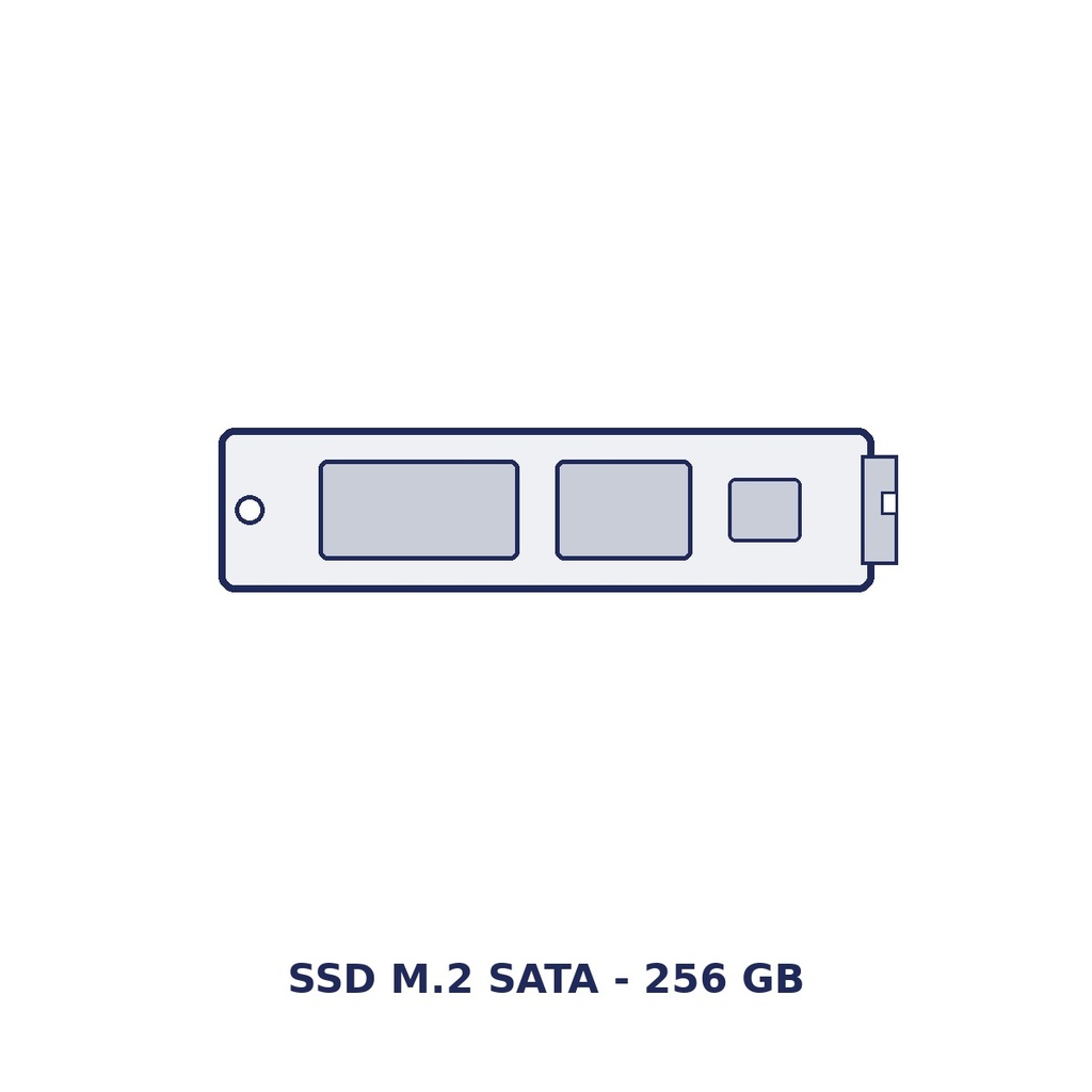SAGA M2SSD256 256 GB M.2 SATA SSD, factory option